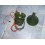 QUAGLIAIA CON TIMER INCORPORATO + 24 CANTI 